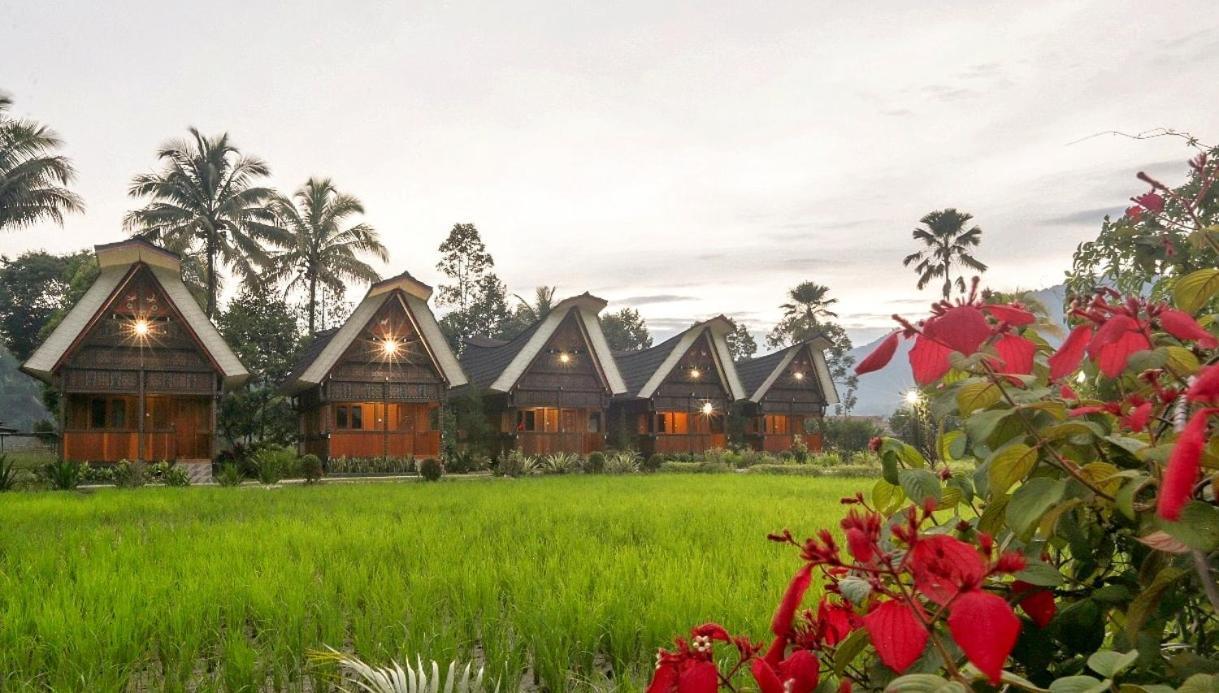 Toraja Misiliana Hotel Rantepao Exterior foto