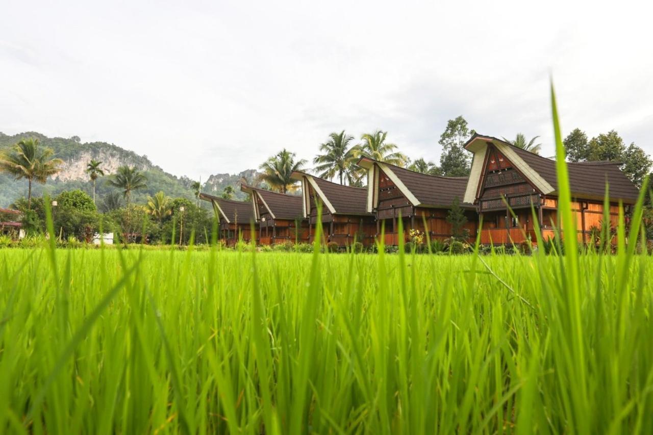 Toraja Misiliana Hotel Rantepao Exterior foto