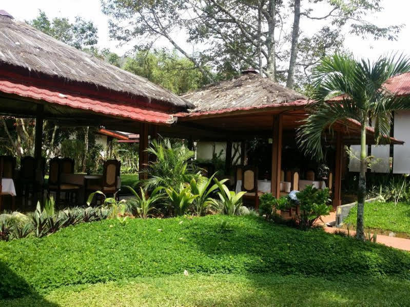 Toraja Misiliana Hotel Rantepao Exterior foto